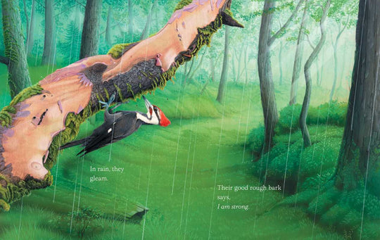 Trees by Tony Johnston