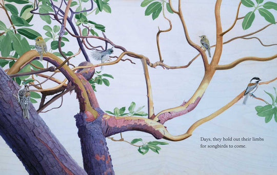 Trees by Tony Johnston