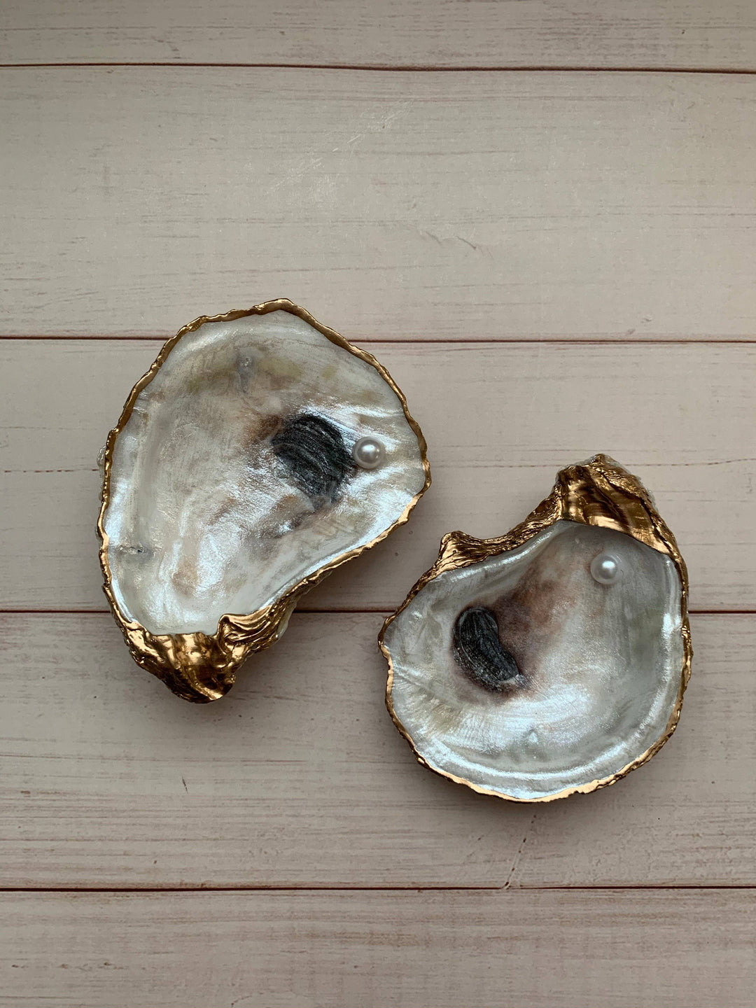 “The Pearl “ Serenity Shells