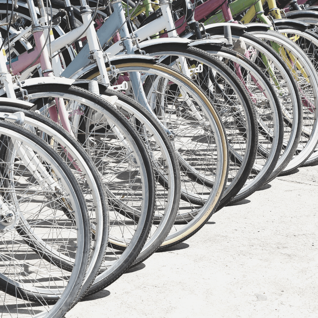 New Year: 5 Sustainable Living Tips for the New Year