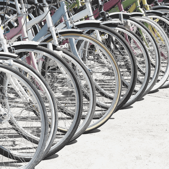 New Year: 5 Sustainable Living Tips for the New Year