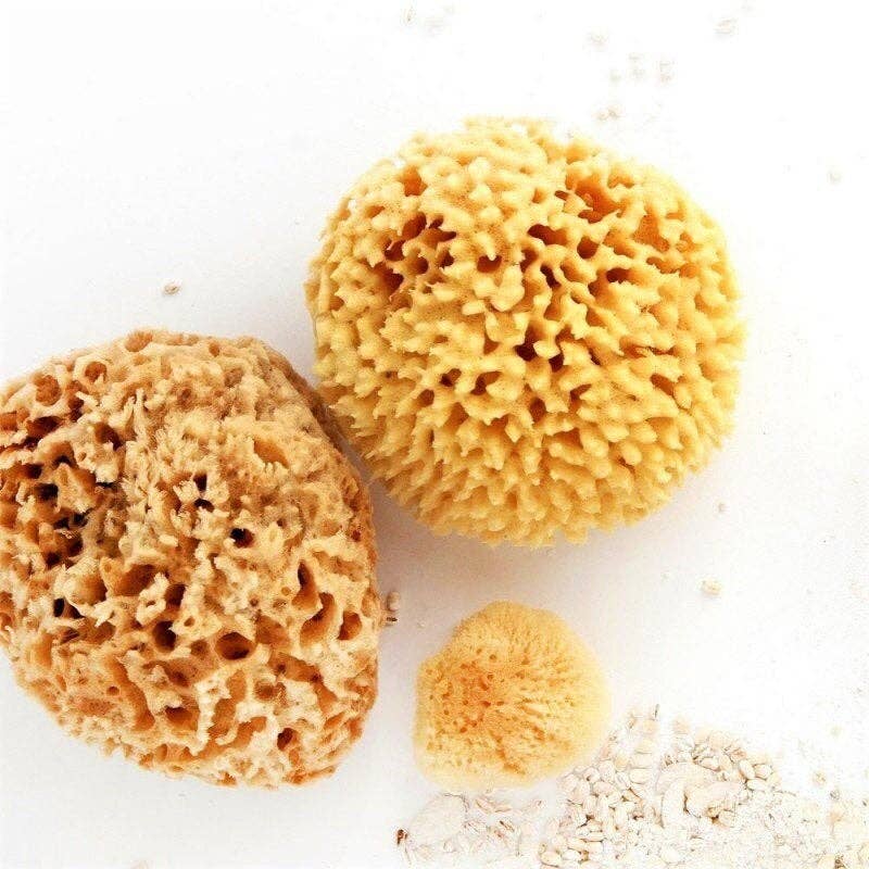 Smile Boutiques Natural Sea Sponge - Plastic Free Organic Sea Sponge: Honeycomb Sponge - Simple Good