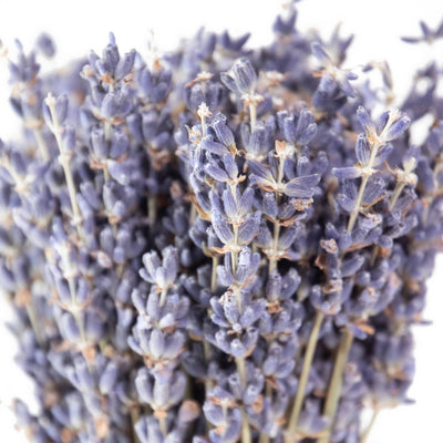 Andaluca MINI French Lavender Bundle - Simple Good