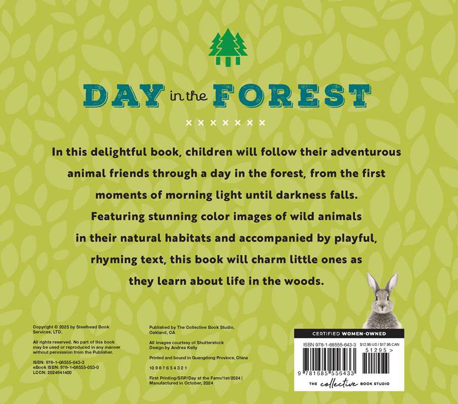 Animal Adventures: Day in the Forest by Alexandra Claire
