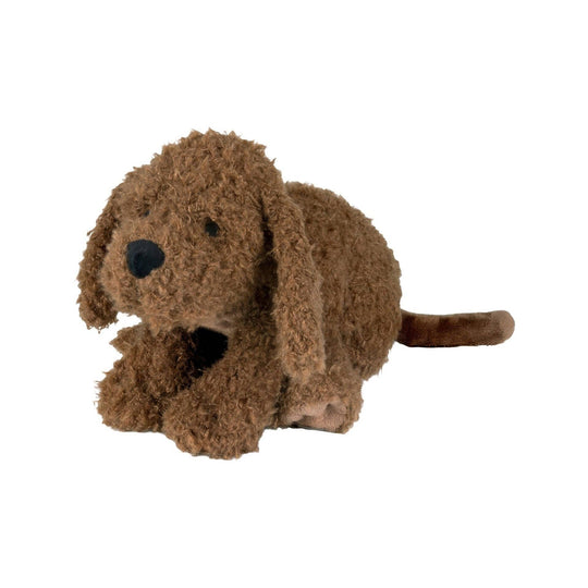 Labradoodle Larry