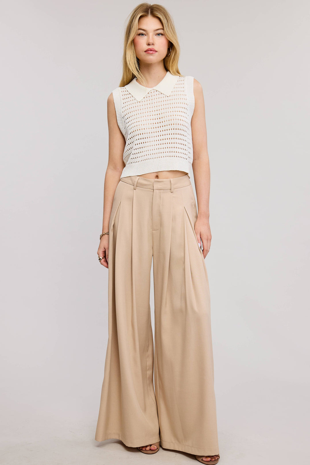 Low Waist  Wide Leg Pleated Trouser Pants