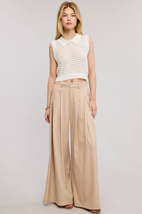 Low Waist  Wide Leg Pleated Trouser Pants