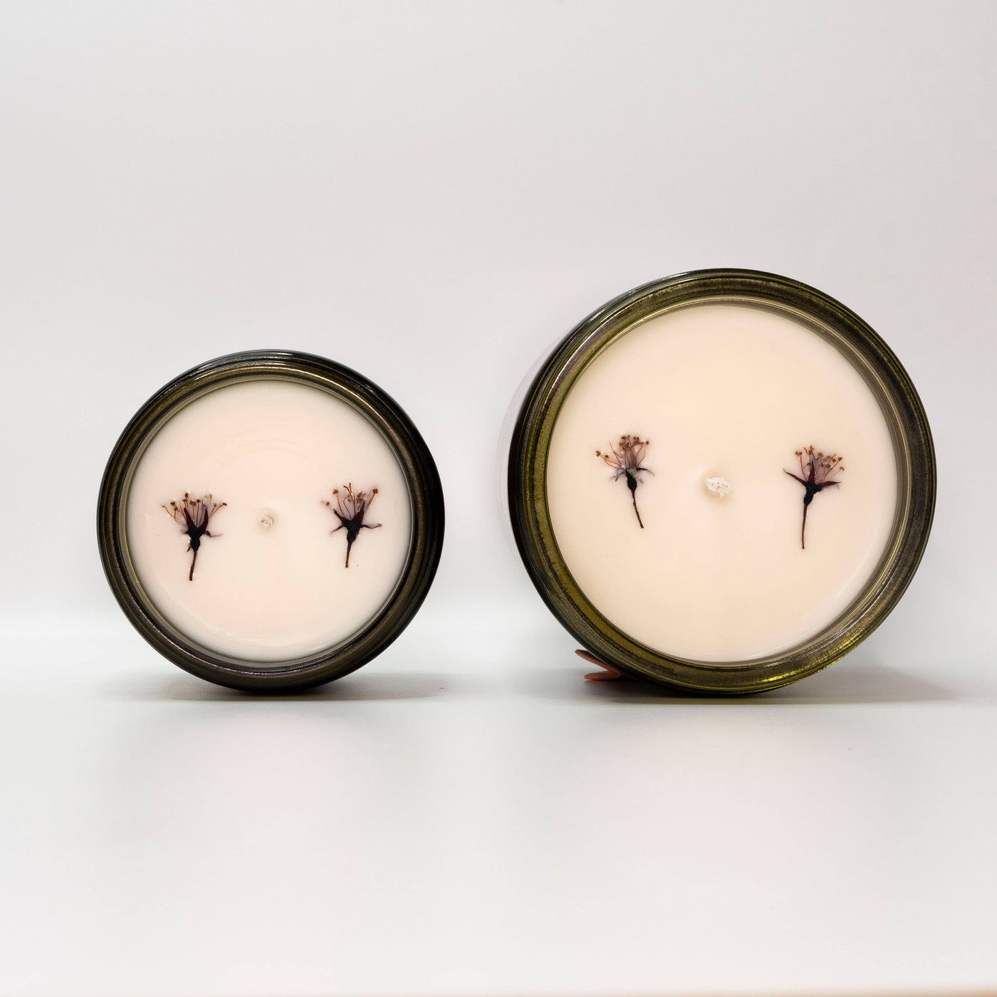 Non Toxic Candle| Fig & Vine