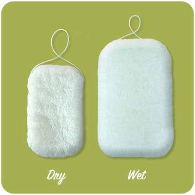 Friendly Soap Konjac Eco Friendly Sponge - Simple Good