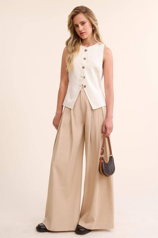 Low Waist  Wide Leg Pleated Trouser Pants
