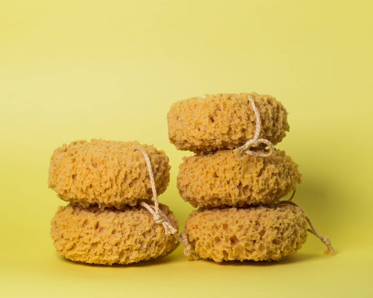 Foam Sea Sponge