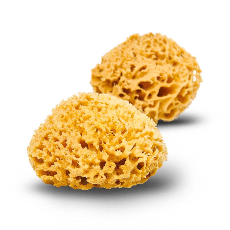 Smile Boutiques Natural Sea Sponge - Plastic Free Organic Sea Sponge: Honeycomb Sponge - Simple Good