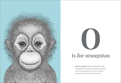 Animal Alphabet