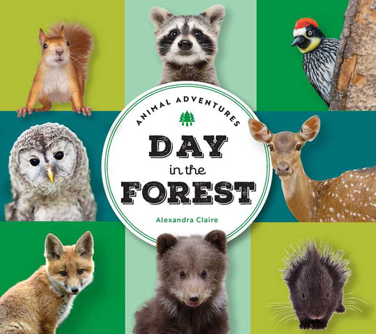 Animal Adventures: Day in the Forest by Alexandra Claire