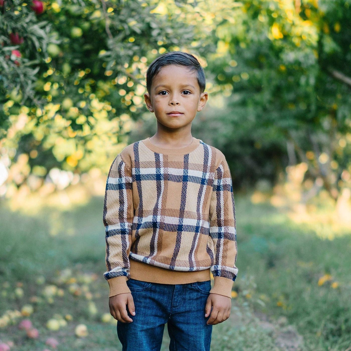 Crew Neck Organic Pullover Sweater