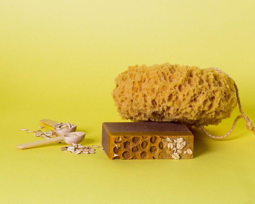 Foam Sea Sponge
