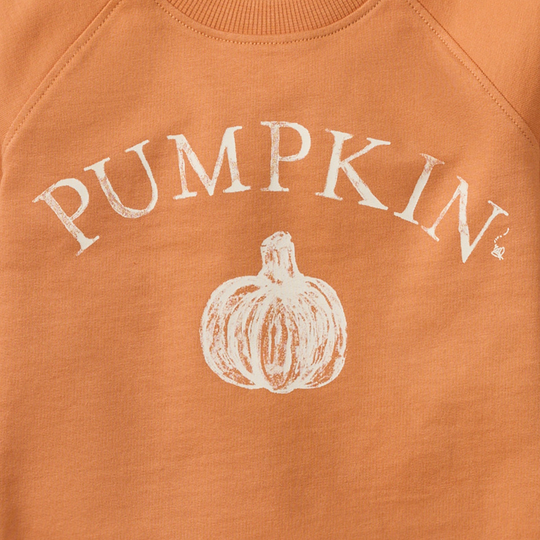 Pumpkin Organic Cotton Sweatshirt