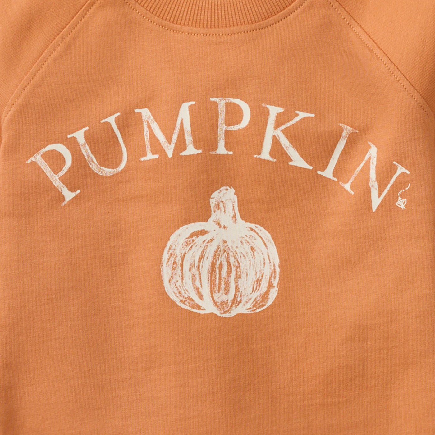 Pumpkin Organic Cotton Sweatshirt
