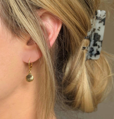 Seashell Huggie Hoops