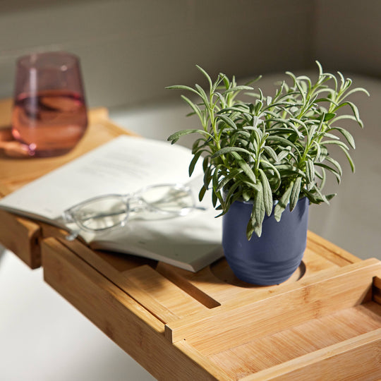 Garden Vibes 2-in-1 Candle/Planter