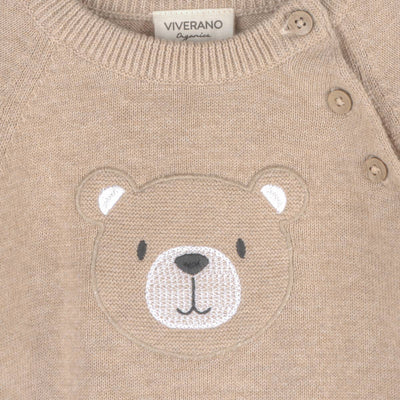 Teddy Bear Applique Baby Raglan Pullover