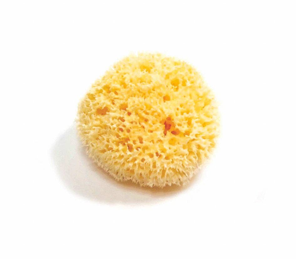 Smile Boutiques Natural Sea Sponge - Plastic Free Organic Sea Sponge: Honeycomb Sponge - Simple Good