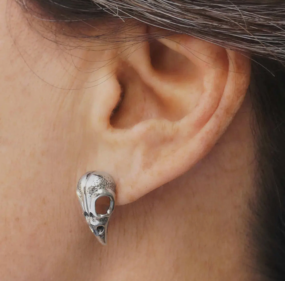 Raven Skull Post Earrings