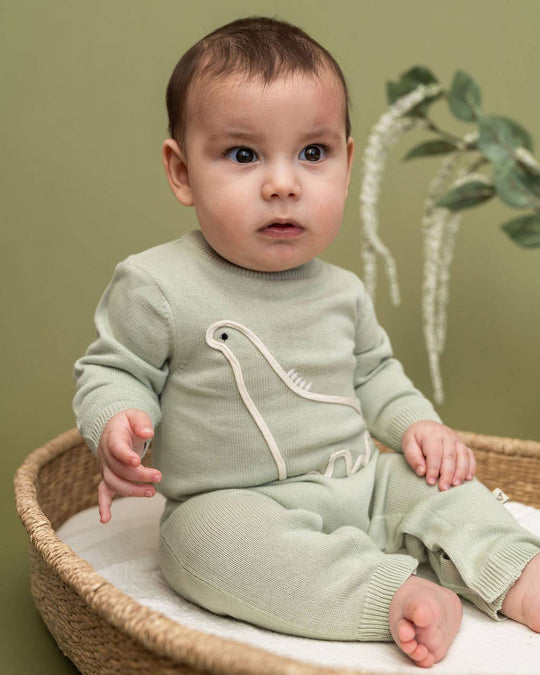 Dino Embroidered Baby Knit Jumpsuit