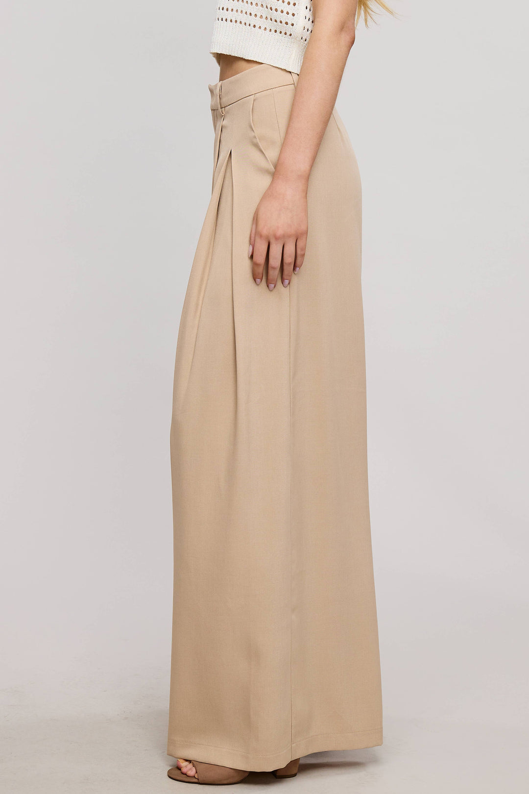 Low Waist  Wide Leg Pleated Trouser Pants