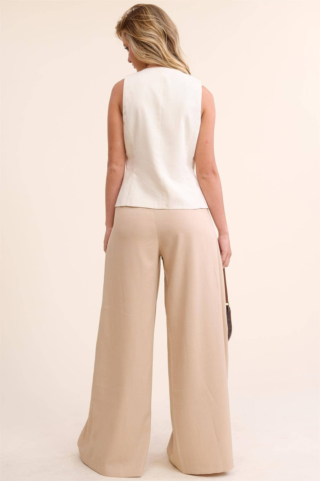 Low Waist  Wide Leg Pleated Trouser Pants