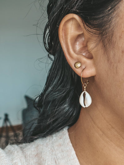 Cowrie Shell Gold Hoop Earrings