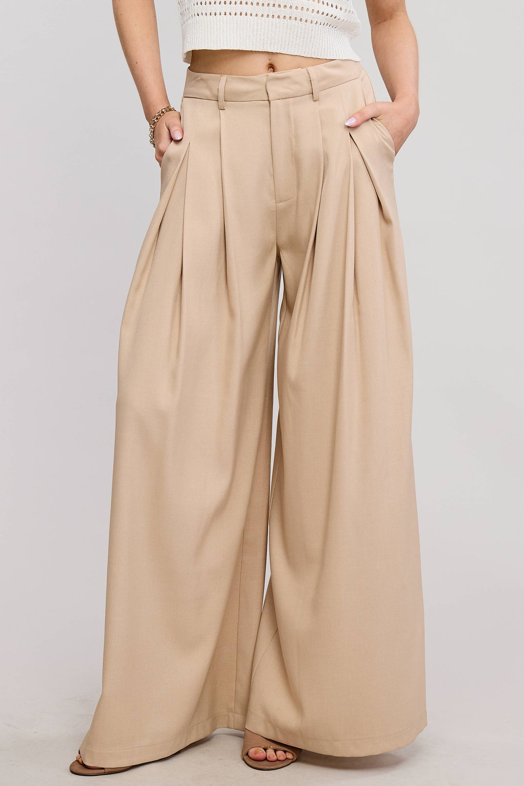 Low Waist  Wide Leg Pleated Trouser Pants