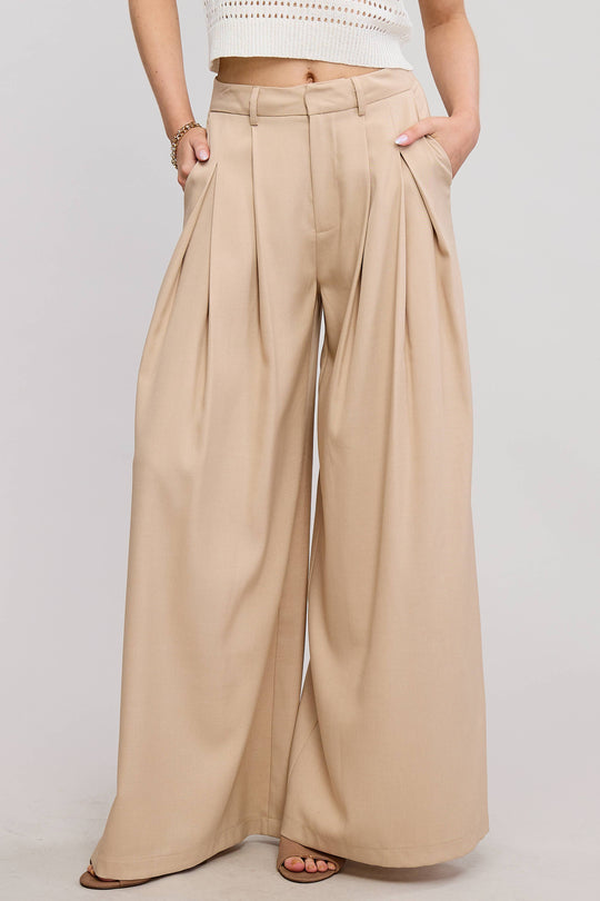 Low Waist  Wide Leg Pleated Trouser Pants
