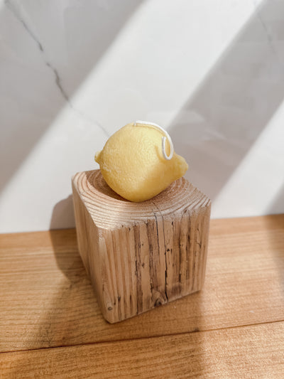 Dusty Rose Bodega Realistic Lemon + Lime Candles - Simple Good