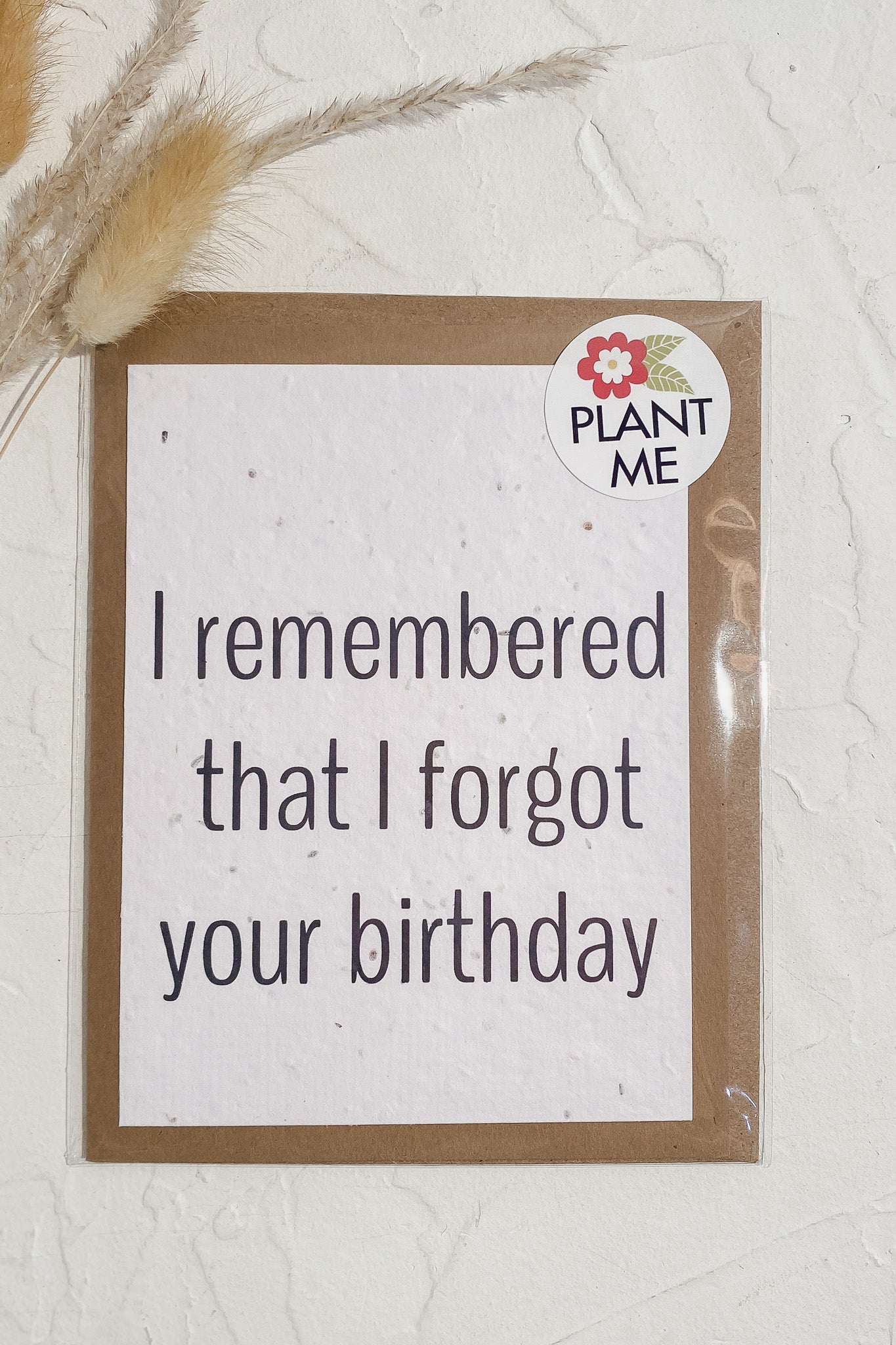 Seedy Card I Remembered I Forgot Your Birthday Seed Card - Simple Good