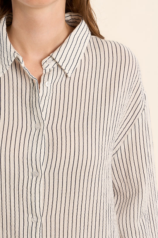 Classic Navy Striped Button Down