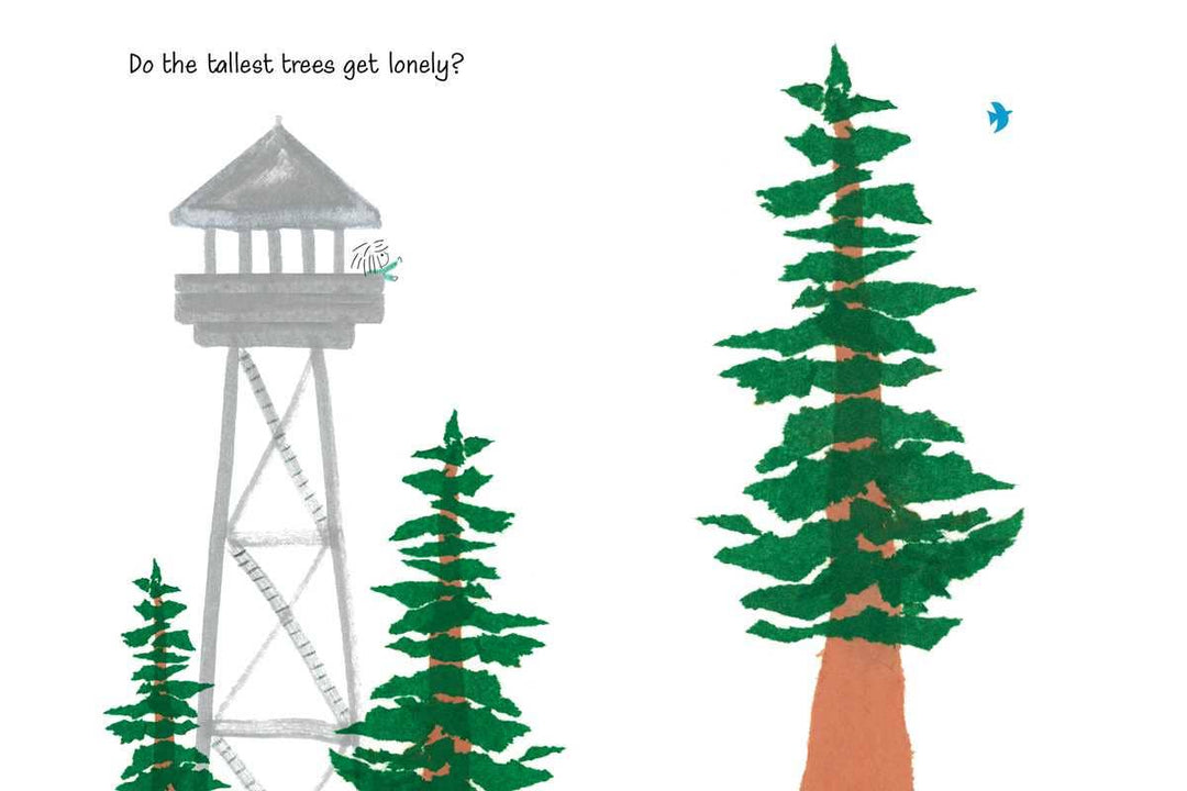 Some Questions About Trees by Toni Yuly