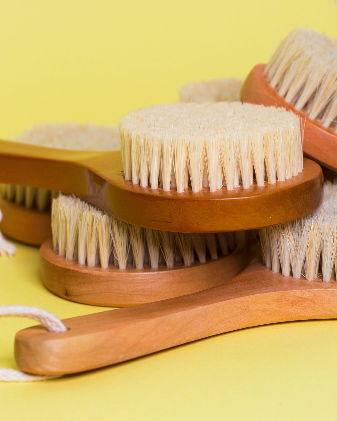 Cactus Bristle Dry Brush