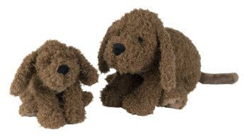 Labradoodle Larry