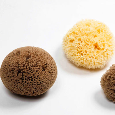 Smile Boutiques Natural Sea Sponge - Plastic Free Organic Sea Sponge: Honeycomb Sponge - Simple Good