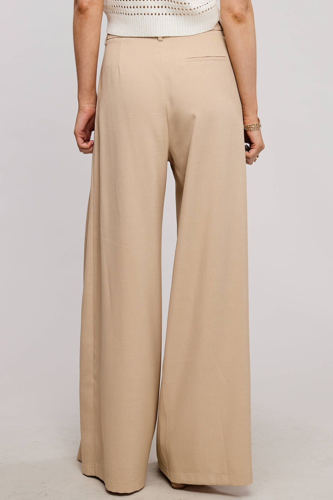 Low Waist  Wide Leg Pleated Trouser Pants