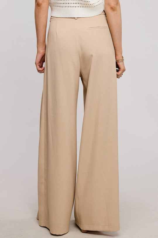 Low Waist  Wide Leg Pleated Trouser Pants