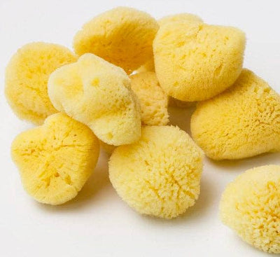 Smile Boutiques Natural Sea Sponge - Plastic Free Organic Sea Sponge: Honeycomb Sponge - Simple Good