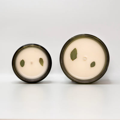 Non Toxic Candle | Basil & Amber