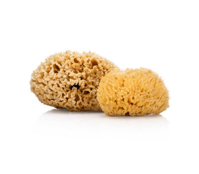 Smile Boutiques Natural Sea Sponge - Plastic Free Organic Sea Sponge: Honeycomb Sponge - Simple Good