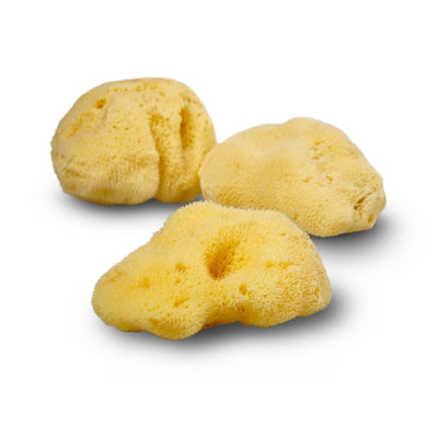 Smile Boutiques Natural Sea Sponge - Plastic Free Organic Sea Sponge: Honeycomb Sponge - Simple Good