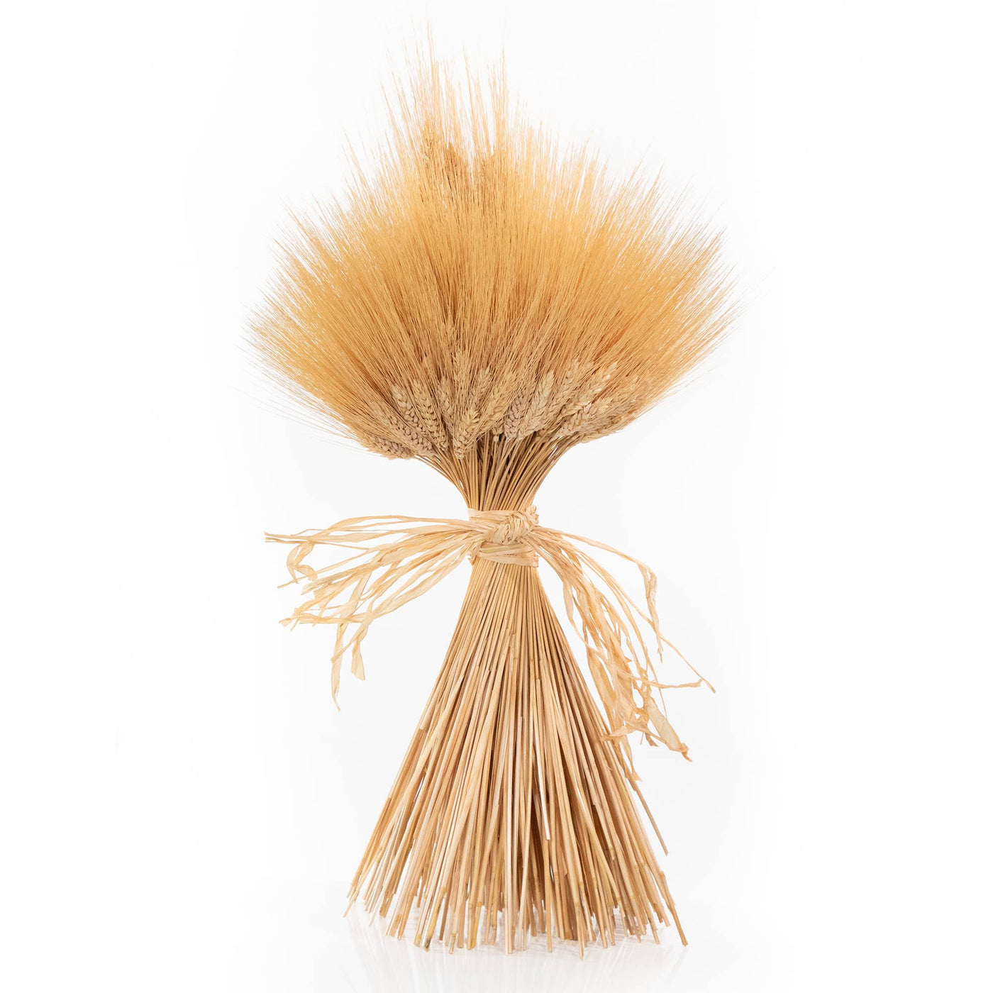 Dried Blonde Wheat Sheaf