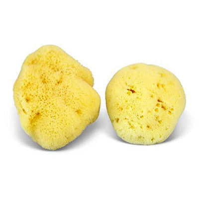 Smile Boutiques Natural Sea Sponge - Plastic Free Organic Sea Sponge: Honeycomb Sponge - Simple Good