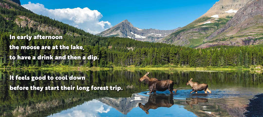 Animal Adventures: Day in the Forest by Alexandra Claire
