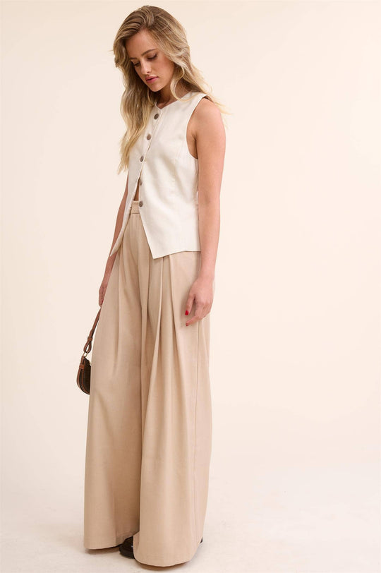 Low Waist  Wide Leg Pleated Trouser Pants